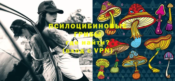 spice Верхний Тагил