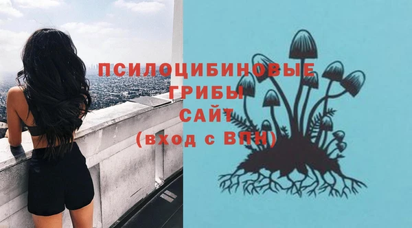 spice Верхний Тагил